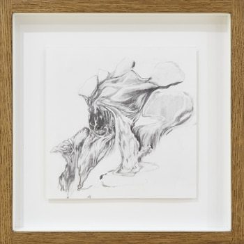 Breaking bones make no noise (Framed) by Magdalena Gluszak - Holeksa