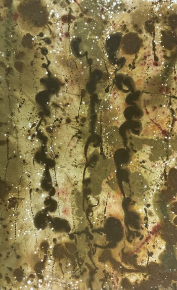 Cardón by Javiera da Fonseca Ilic