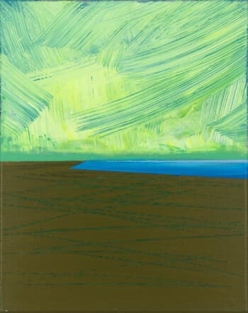 Area 17 by Katrin Roth