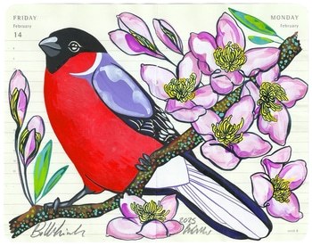 Bullfinch by Fran Giffard