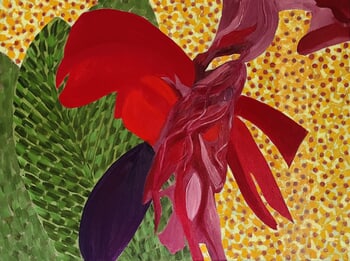 Canna by Christo Sharpe