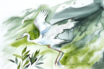 Egret in Flight by Elizabeth Becker