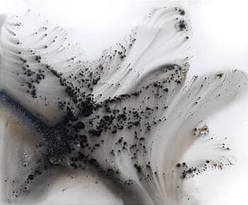 Nature 521 von Muriel Napoli