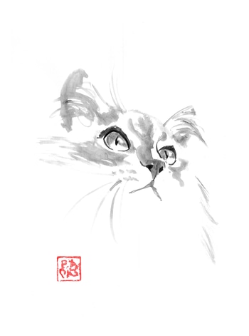 cute cat by Péchane
