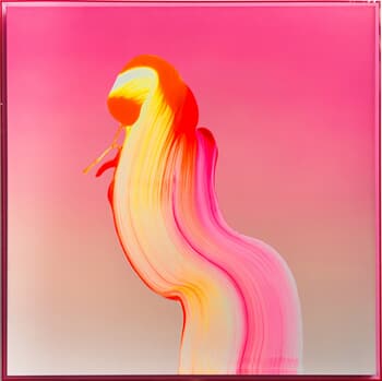 Encuentros by Nikolaos Schizas