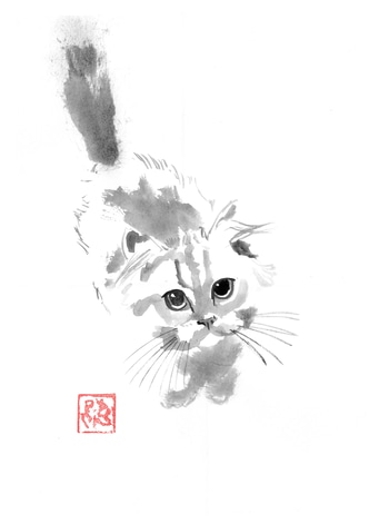 Cute fluffy cat by Péchane