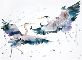 Herons in Flight No. 8 by Elizabeth Becker