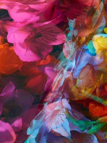 PARALLELS V by Andrea Zvadova