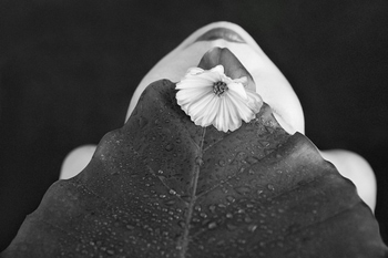 Ephemeral Mask​ - III by Xidong Luo