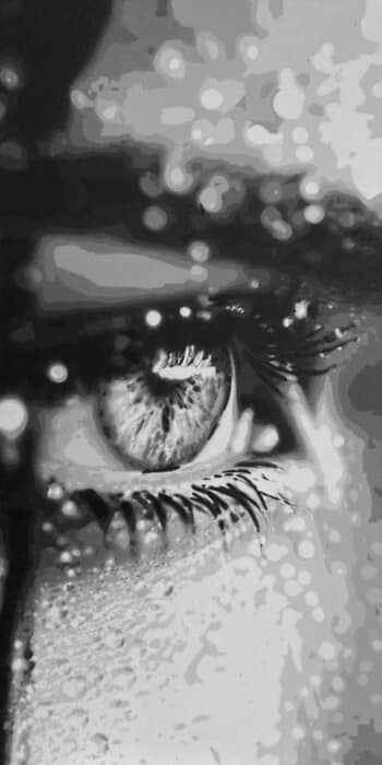 Vision by Olivier Carpent