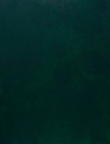 Green Velvet von Nataliia Sydorova
