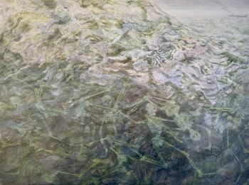 Bone Soup II by Claire Cansick