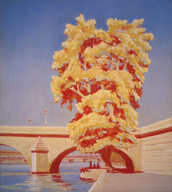 Le platane du Pont Royal by François Cusson