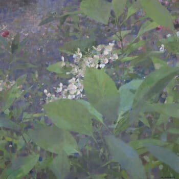 Hortensias 2  von Mathieu Weemaels