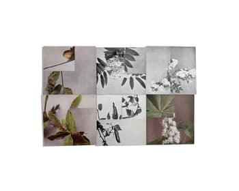 Between Surface and Ground par Mona Sultan