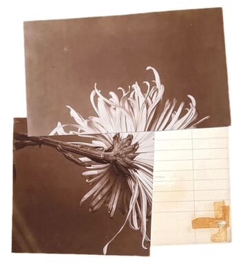 In Desperate Search For The Unfamiliar V by Mona Sultan