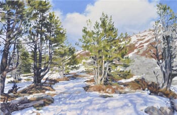 Pines on Snowy Mount Mézenc par Anne Baudequin