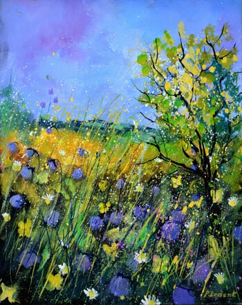 Wild summer flowers par Pol Ledent