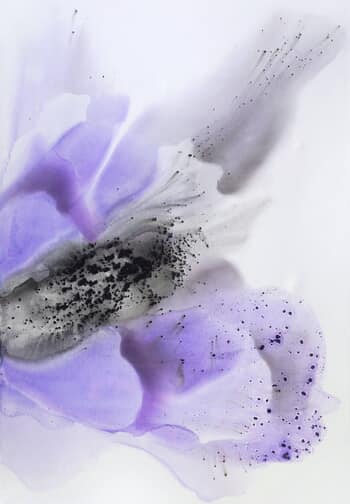 Nature 258 von Muriel Napoli