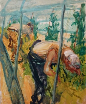 Arched, in Light by Rachel Mercer