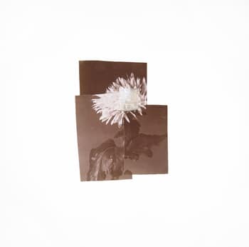 In Desperate Search For The Unfamiliar II by Mona Sultan