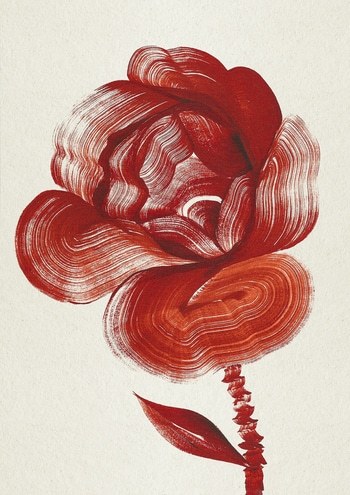 English Rose par The Frym