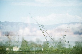 Esteve par Jérôme Pergolesi