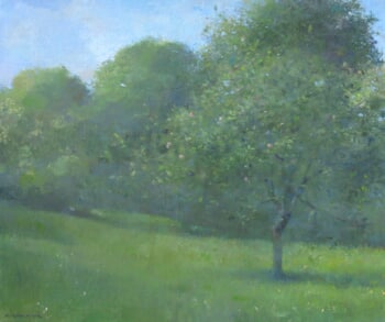 Verger au printemps  par Mathieu Weemaels