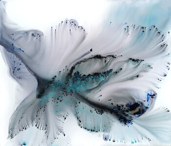 Nature 499 par Muriel Napoli