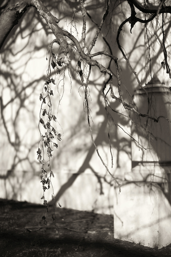 Mausoleum Study par Geoffrey Ansel Agrons