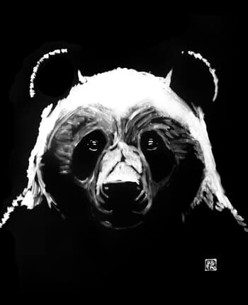 Black panda von Péchane