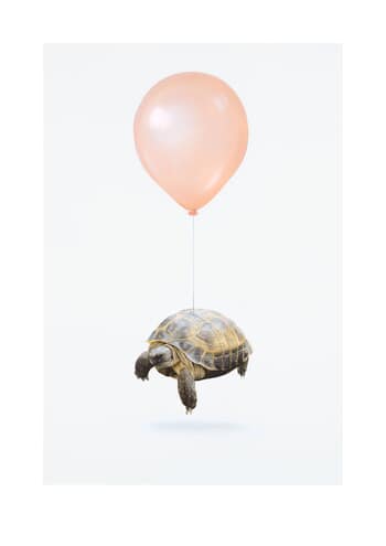 Olga VI von Joshua Daniels