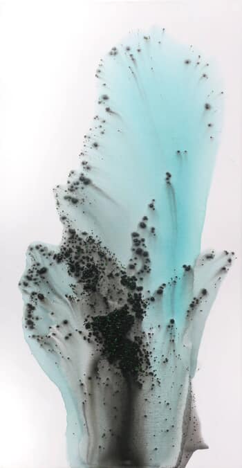 Nature 283 von Muriel Napoli