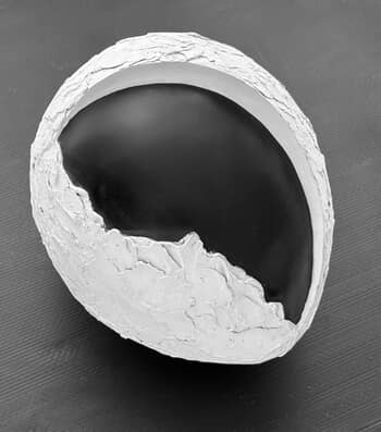 Oeuf noir 1 von Fabienne FOL