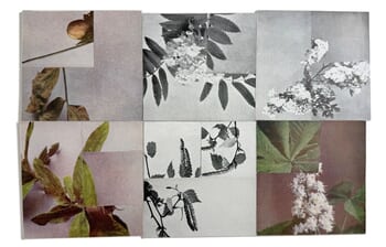 Between Surface and Ground by Mona Sultan