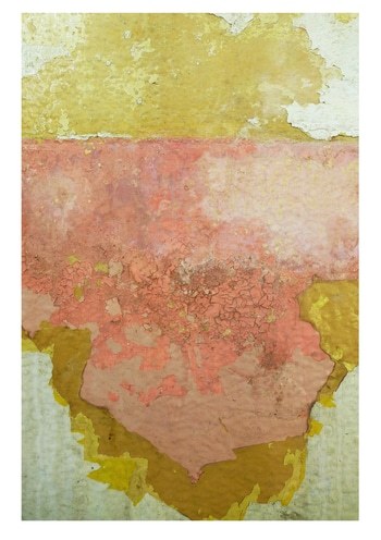 Kandy - 1 of 10 Limited Edition Photograph by Gina Parr Photography