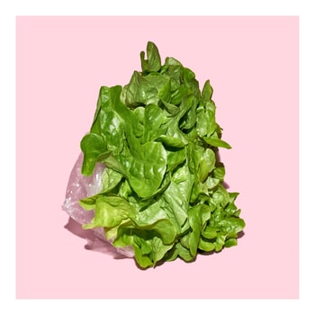 Growth & Prosperity (Green Lettuce) - (large) par N. A. Vague