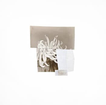 In Desperate Search For The Unfamiliar IV by Mona Sultan