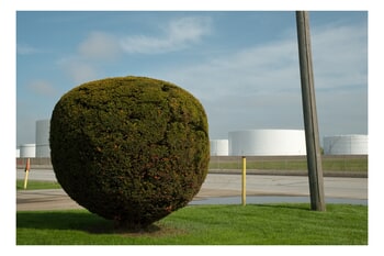 10184 • Gary, Indiana par Carl Corey