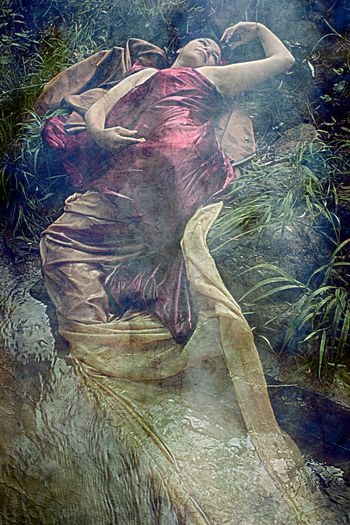 MADEMOISELLE ORGANZA von Thalie B. Vernet