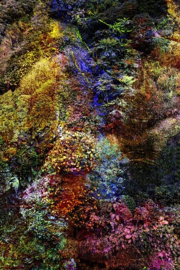 (Masterpiece Edition) Wall of Nature LVII von Viet Ha Tran