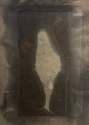 Erigeron canadensis by Jodie Camus