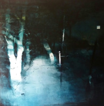 Tr-Hse von Diego Vallejo-García