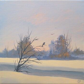 Aube hivernale by Yves Ogier