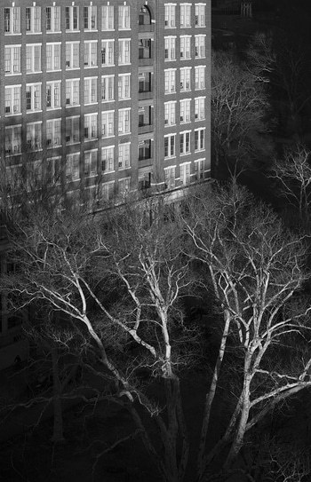 Keystones (Winter Trees) by Geoffrey Ansel Agrons