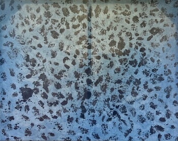 Ostréicole by Jodie Camus