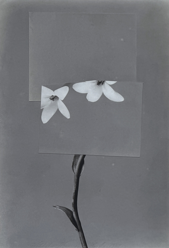 Anchors Away par Mona Sultan