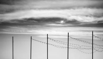 Fugue by Geoffrey Ansel Agrons