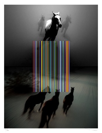 Wild Horses by Tehos Frederic Camilleri