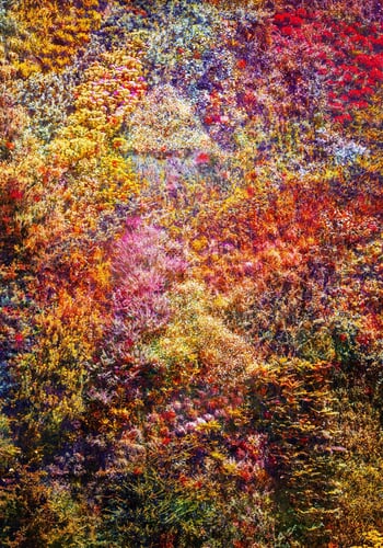 (Masterpiece Edition) Wall of Nature XXIX von Viet Ha Tran